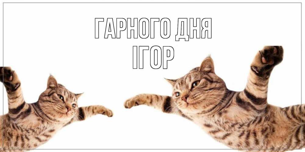 Открытка на каждый день з підписом, Ігор Гарного дня хорошего дня Прикольна листівка з побажанням онлайн скачати безкоштовно 