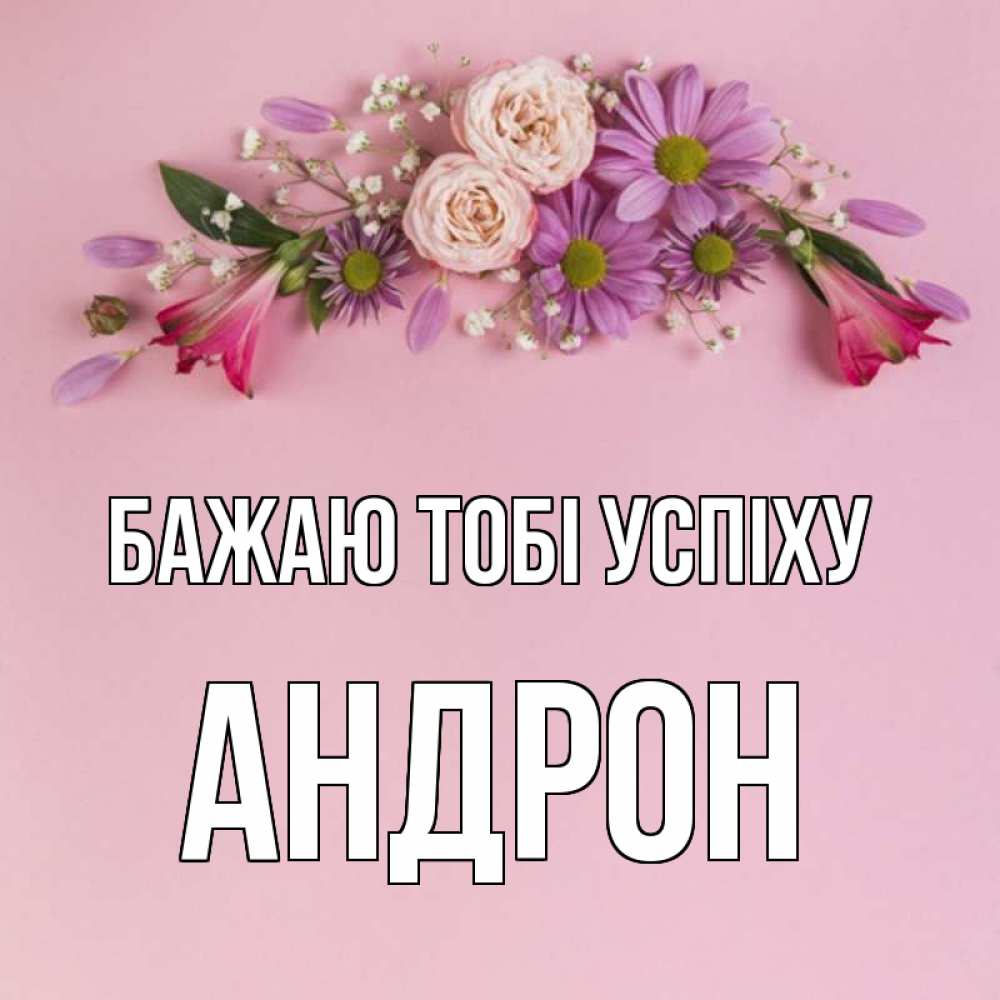 Открытка на каждый день з підписом, Андрон Бажаю тобі успіху розовый фон Прикольна листівка з побажанням онлайн скачати безкоштовно 