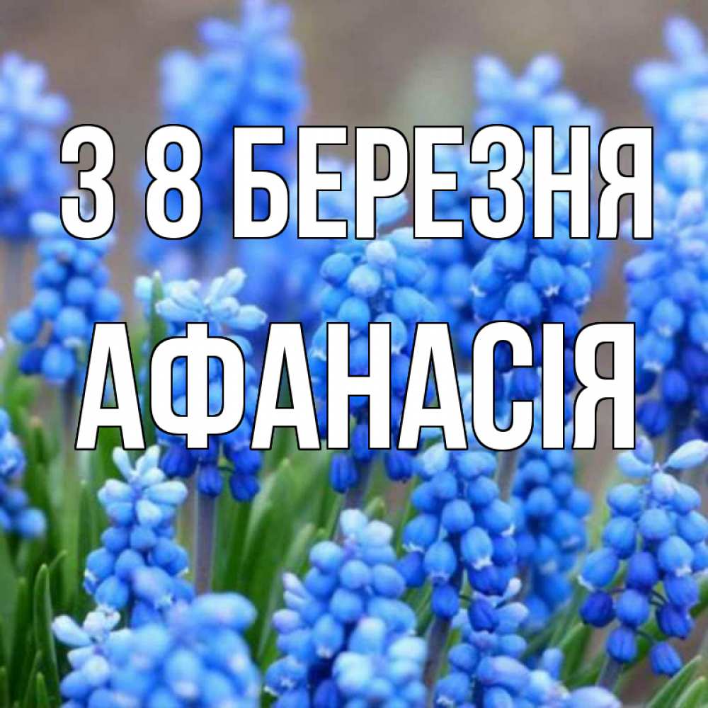 Открытка на каждый день з підписом, Афанасія З 8 БЕРЕЗНЯ Поздравительная открытка для женщин с цветами на праздничную дату Прикольна листівка з побажанням онлайн скачати безкоштовно 