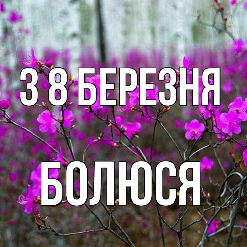 Открытка на каждый день з підписом, Болюся З 8 БЕРЕЗНЯ дикие цветы Прикольна листівка з побажанням онлайн скачати безкоштовно 