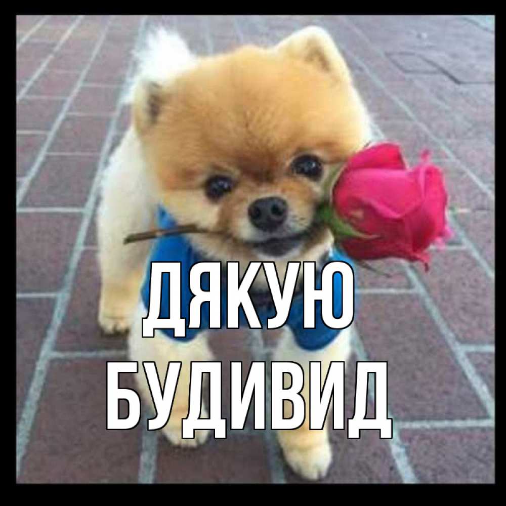 Открытка на каждый день з підписом, Будивид Дякую спасибо и дарю тебе цветок Прикольна листівка з побажанням онлайн скачати безкоштовно 