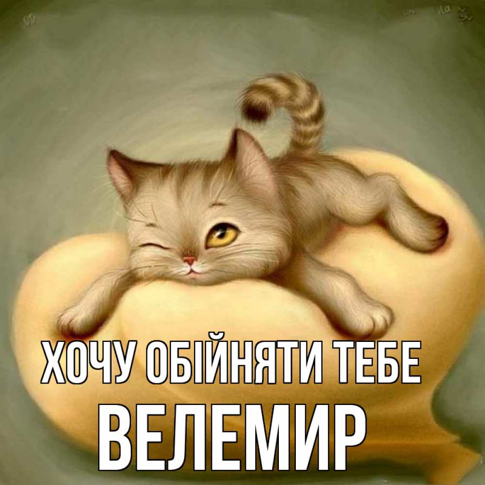 Открытка на каждый день з підписом, Велемир Хочу обійняти тебе кошечка Прикольна листівка з побажанням онлайн скачати безкоштовно 