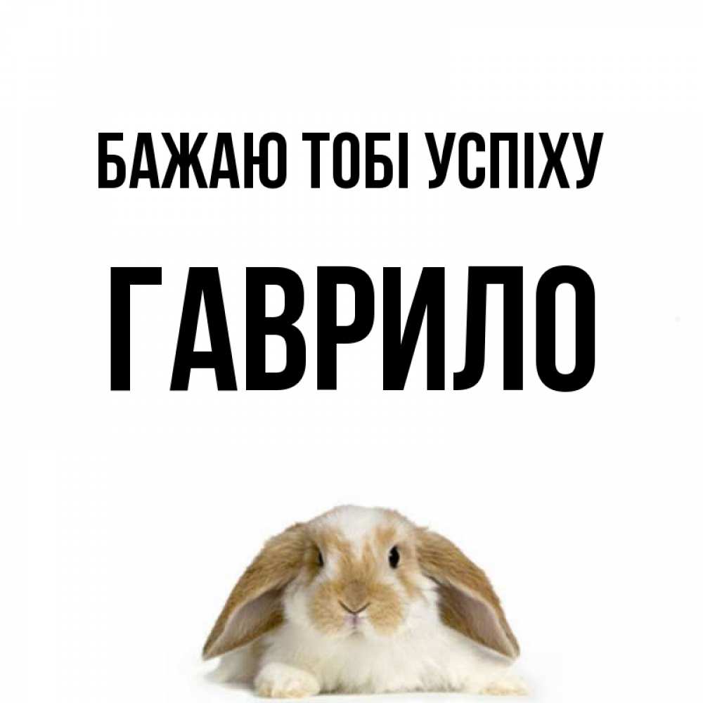 Открытка на каждый день з підписом, Гаврило Бажаю тобі успіху открытки с произвольным текстом который можно вставить в открытку и создать ее самостоятельно бесплатно онлайн Прикольна листівка з побажанням онлайн скачати безкоштовно 