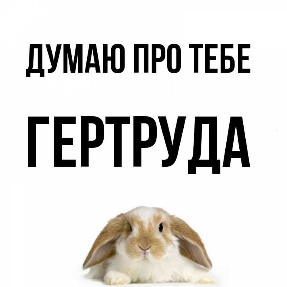 Открытка на каждый день з підписом, Гертруда Думаю про тебе подписать своими руками онлайн Прикольна листівка з побажанням онлайн скачати безкоштовно 