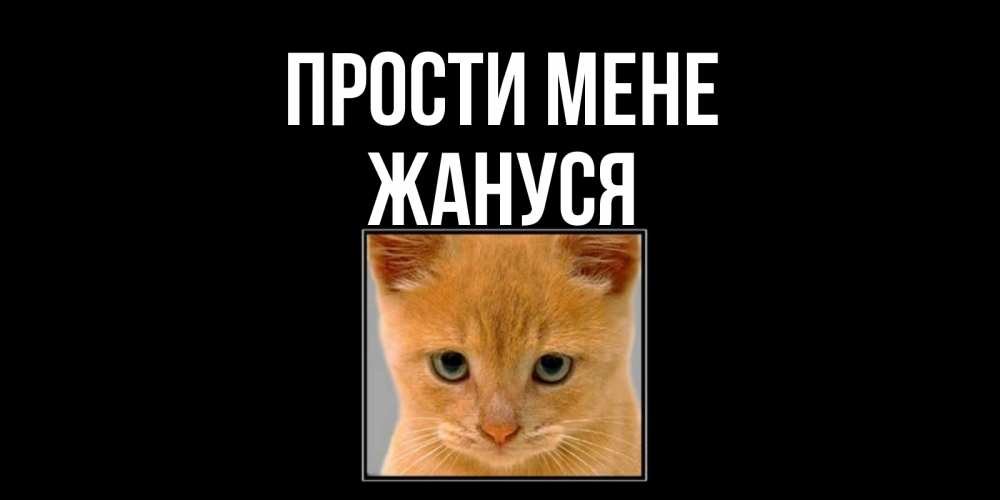 Открытка на каждый день з підписом, Жануся Прости мене рыжий грустный кот просит прощения Прикольна листівка з побажанням онлайн скачати безкоштовно 