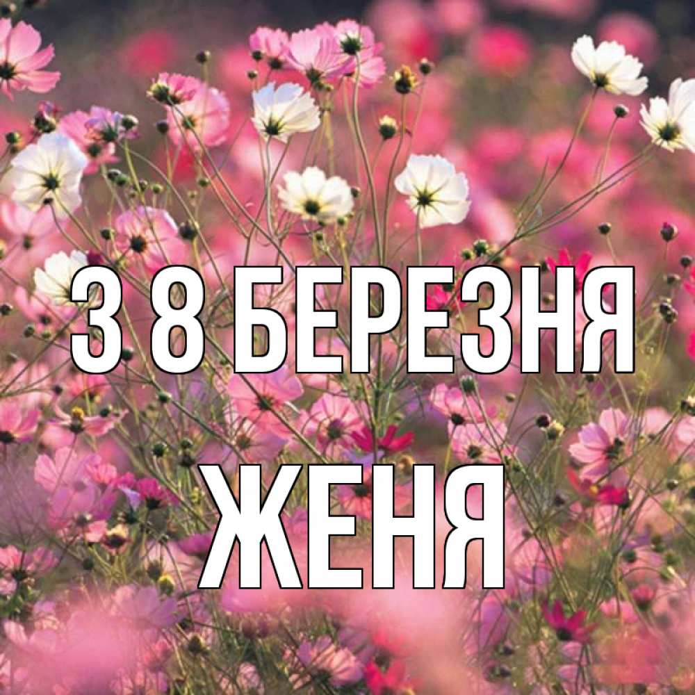 Открытка на каждый день з підписом, Женя З 8 БЕРЕЗНЯ красиво 1 Прикольна листівка з побажанням онлайн скачати безкоштовно 