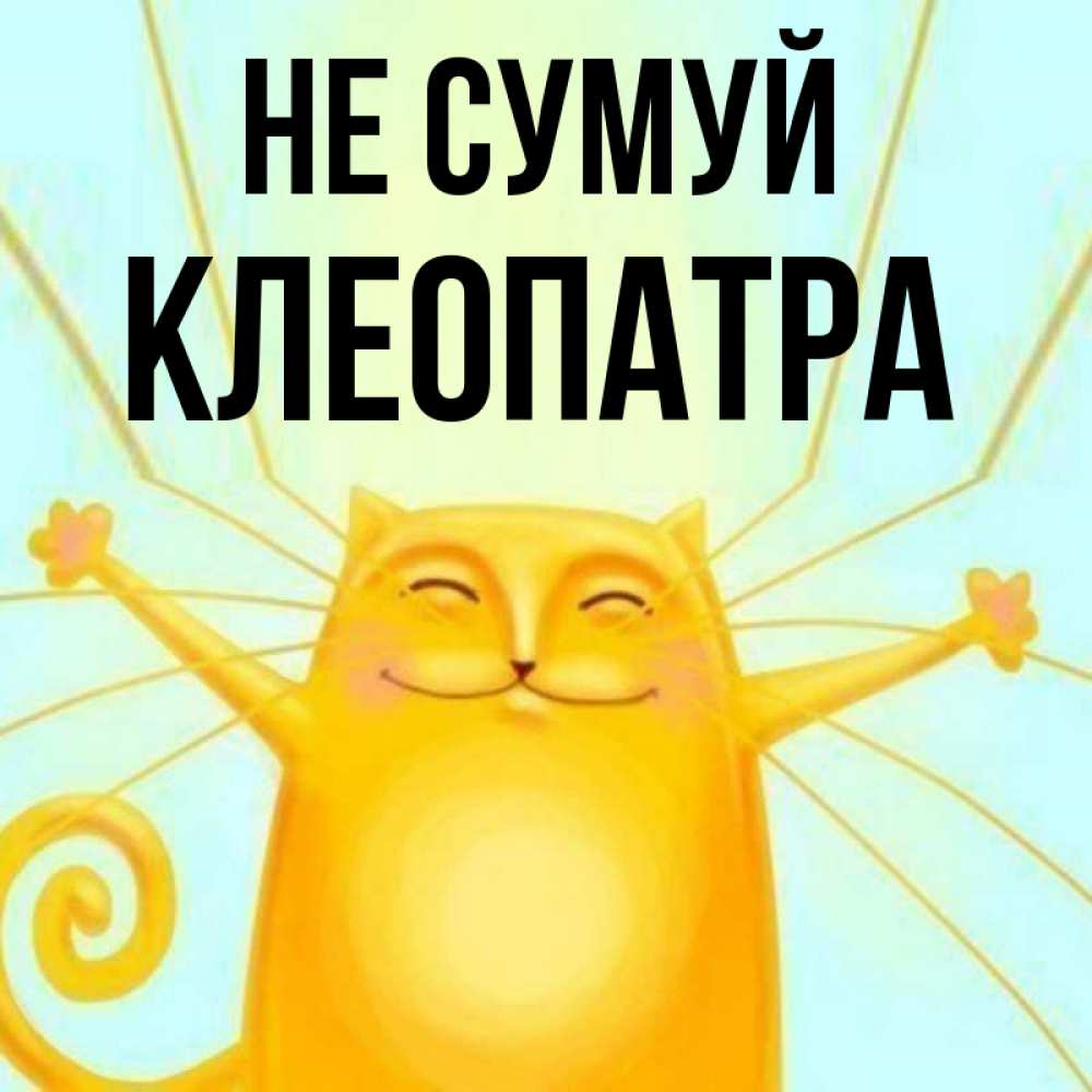 Открытка на каждый день з підписом, Клеопатра Не сумуй обнимашки усатые Прикольна листівка з побажанням онлайн скачати безкоштовно 