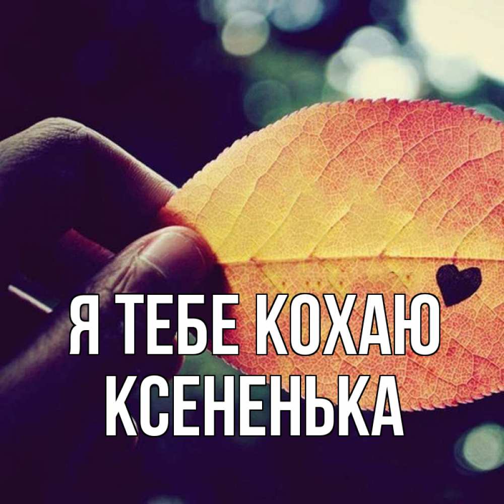 Открытка на каждый день з підписом, Ксененька Я тебе кохаю держу лист Прикольна листівка з побажанням онлайн скачати безкоштовно 