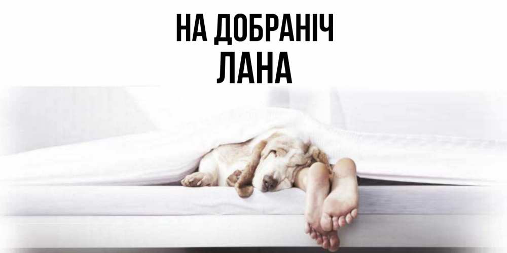 Открытка на каждый день з підписом, Лана На добраніч кровать с собакой пожелание сладких снов и спокойной ночи Прикольна листівка з побажанням онлайн скачати безкоштовно 