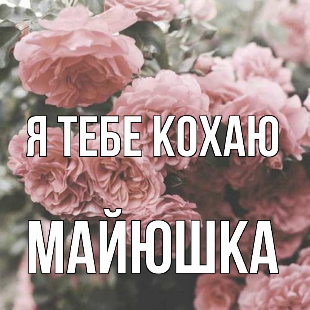 Открытка на каждый день з підписом, Майюшка Я тебе кохаю розы 3 Прикольна листівка з побажанням онлайн скачати безкоштовно 