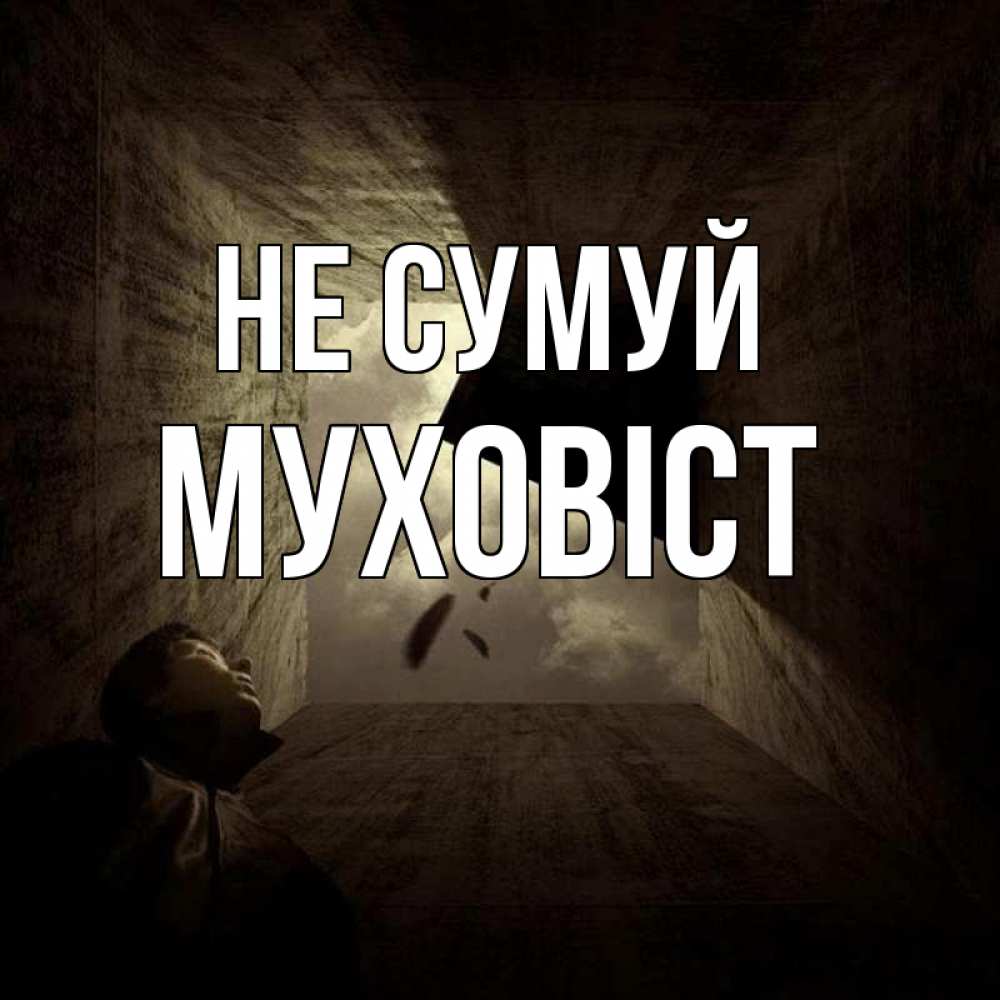 Открытка на каждый день з підписом, Муховіст Не сумуй жуть Прикольна листівка з побажанням онлайн скачати безкоштовно 