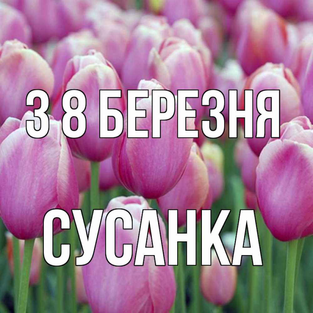 Открытка на каждый день з підписом, Сусанка З 8 БЕРЕЗНЯ на международный женский день 3 Прикольна листівка з побажанням онлайн скачати безкоштовно 