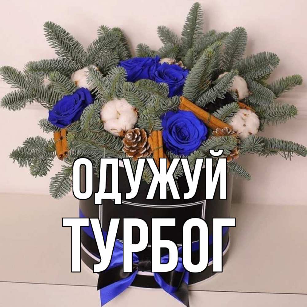 Открытка на каждый день з підписом, Турбог Одужуй короче кто то загрузил эти шишки Прикольна листівка з побажанням онлайн скачати безкоштовно 