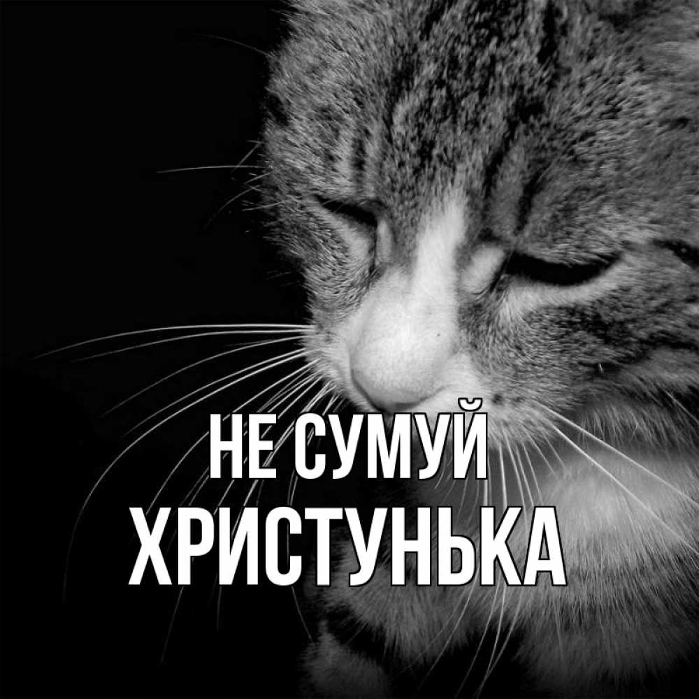 Открытка на каждый день з підписом, Христунька Не сумуй грустный котик Прикольна листівка з побажанням онлайн скачати безкоштовно 