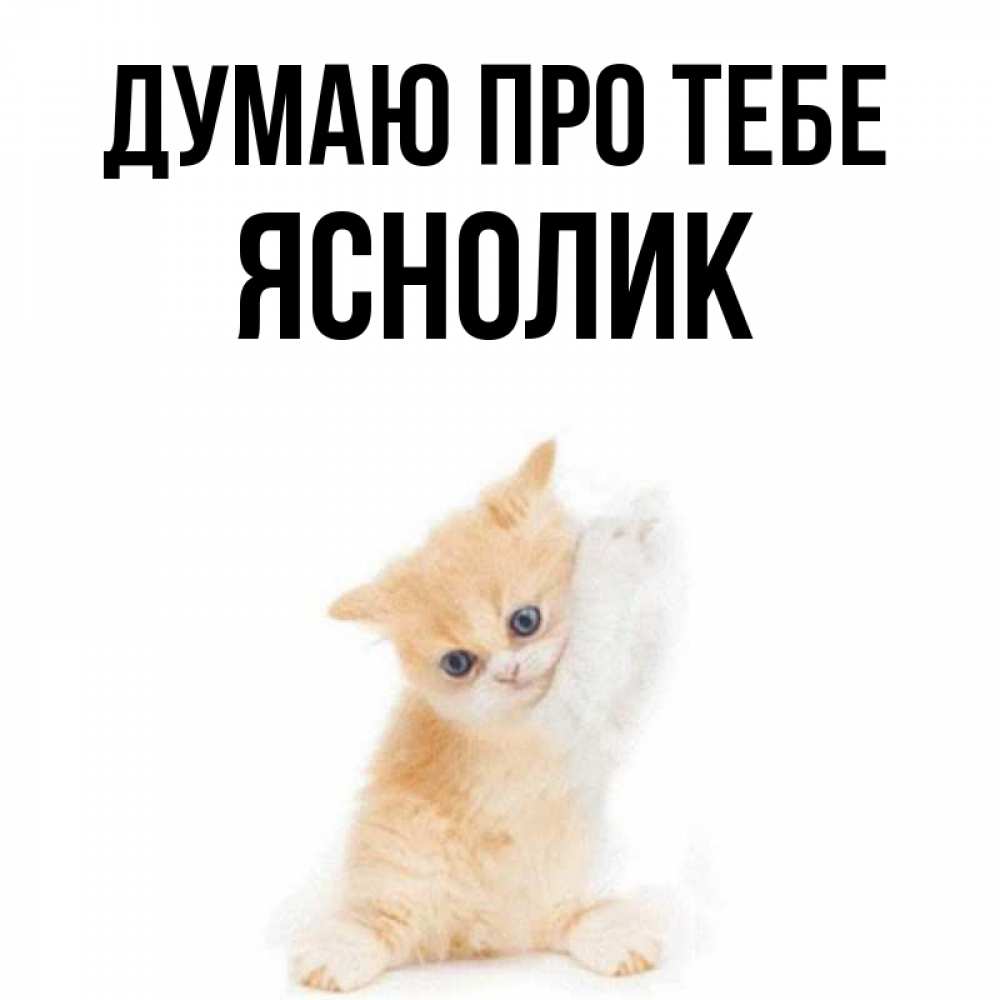 Открытка на каждый день з підписом, Яснолик Думаю про тебе зверушки и милота Прикольна листівка з побажанням онлайн скачати безкоштовно 
