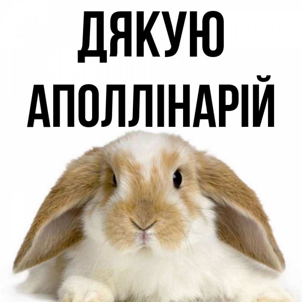 Открытка на каждый день з підписом, Аполлінарій Дякую коричнево белый заяц Прикольна листівка з побажанням онлайн скачати безкоштовно 