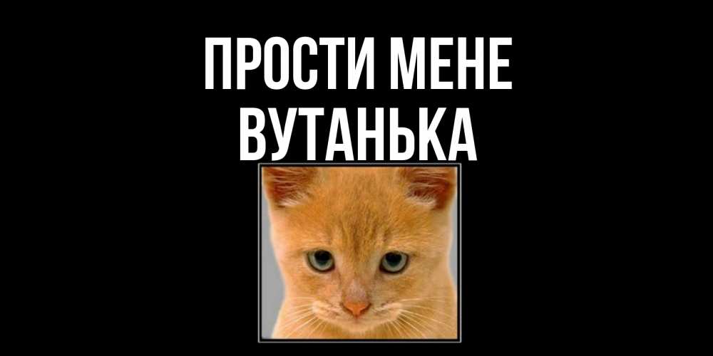 Открытка на каждый день з підписом, Вутанька Прости мене рыжий грустный кот просит прощения Прикольна листівка з побажанням онлайн скачати безкоштовно 