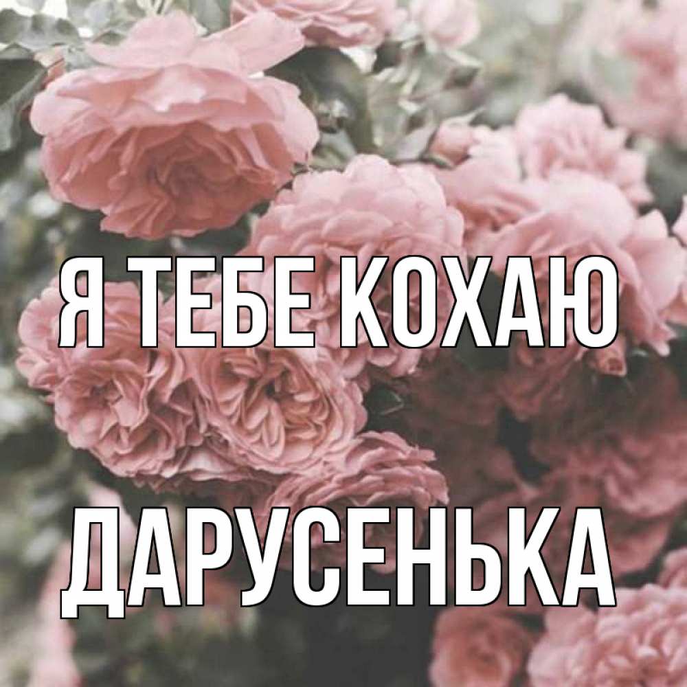 Открытка на каждый день з підписом, Дарусенька Я тебе кохаю розы 3 Прикольна листівка з побажанням онлайн скачати безкоштовно 