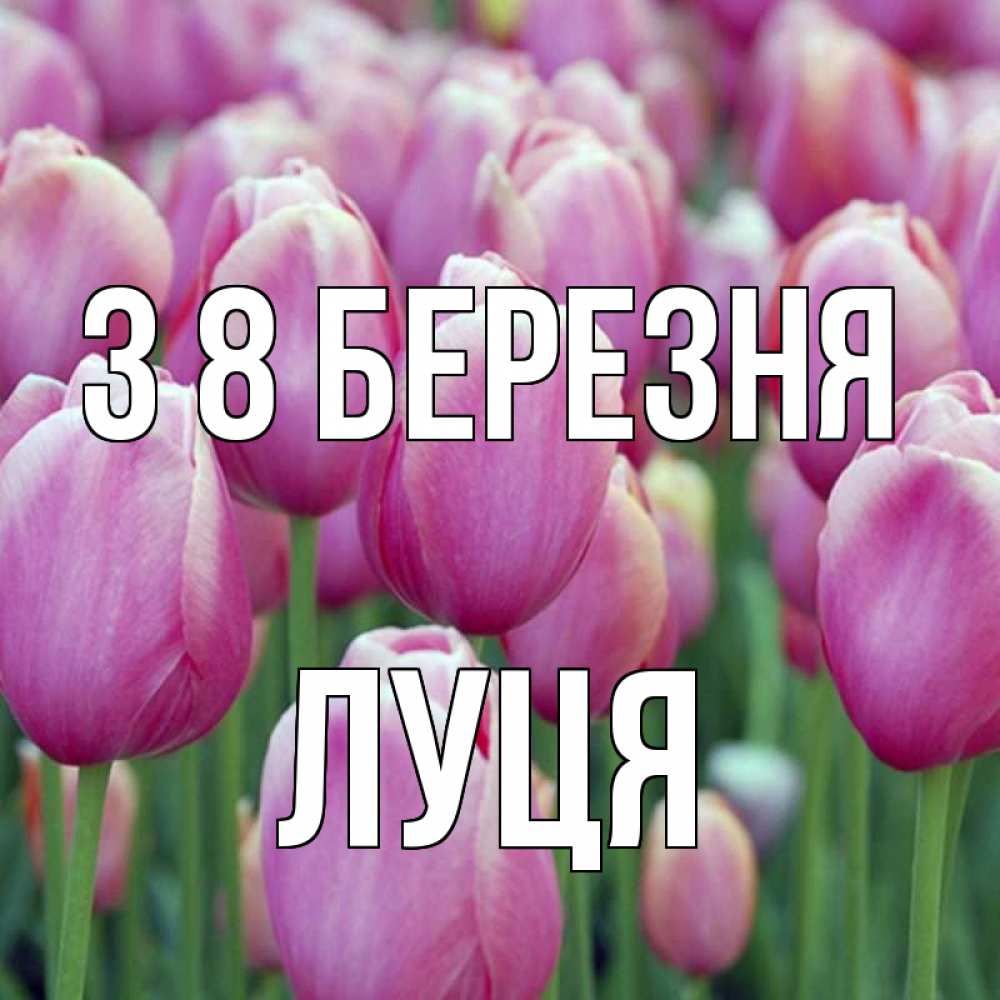 Открытка на каждый день з підписом, Луця З 8 БЕРЕЗНЯ на международный женский день 3 Прикольна листівка з побажанням онлайн скачати безкоштовно 
