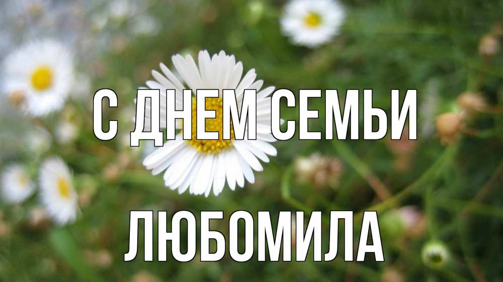 Открытка на каждый день з підписом, Любомила С днем семьи с днем семьи Прикольна листівка з побажанням онлайн скачати безкоштовно 