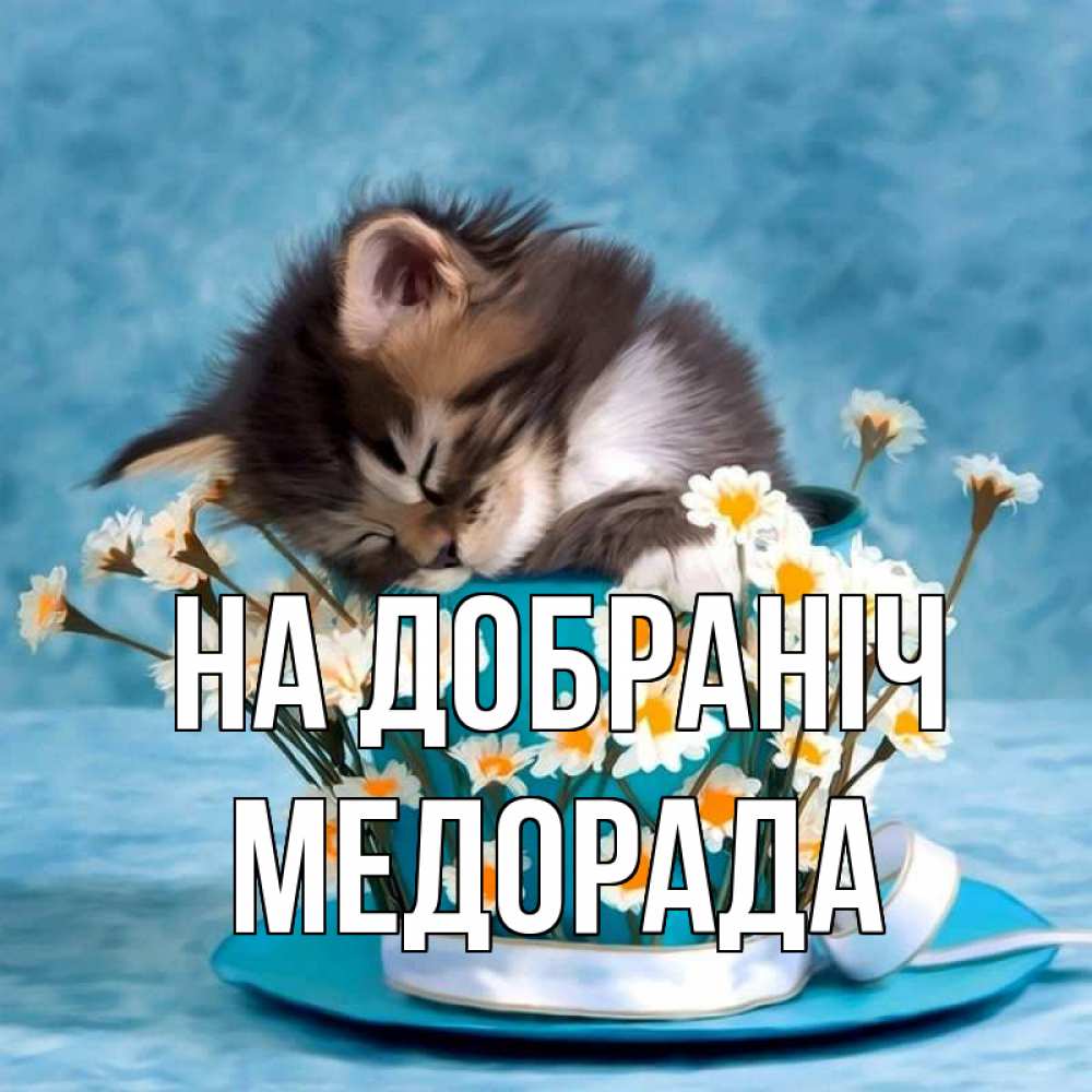 Открытка на каждый день з підписом, Медорада На добраніч котенок спит в кружке с блюдцем Прикольна листівка з побажанням онлайн скачати безкоштовно 