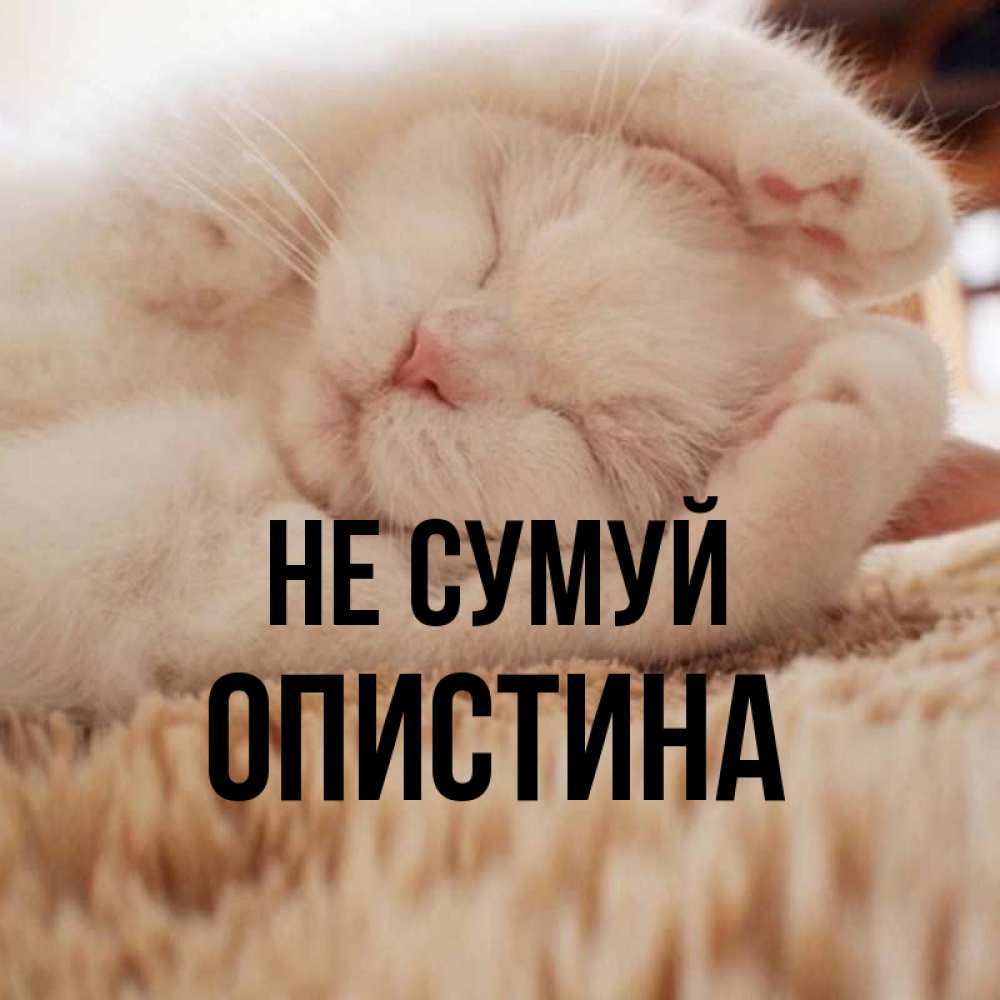 Открытка на каждый день з підписом, Опистина Не сумуй Котенок спит Прикольна листівка з побажанням онлайн скачати безкоштовно 