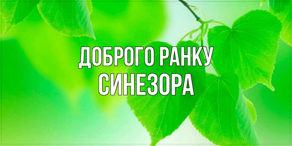 Открытка на каждый день з підписом, Синезора Доброго ранку доброе утро с березовыми листьями Прикольна листівка з побажанням онлайн скачати безкоштовно 