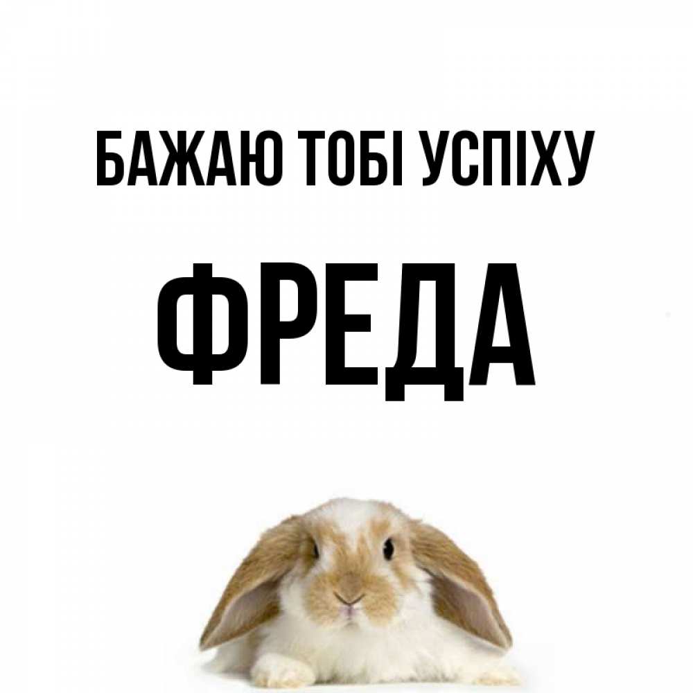 Открытка на каждый день з підписом, Фреда Бажаю тобі успіху открытки с произвольным текстом который можно вставить в открытку и создать ее самостоятельно бесплатно онлайн Прикольна листівка з побажанням онлайн скачати безкоштовно 