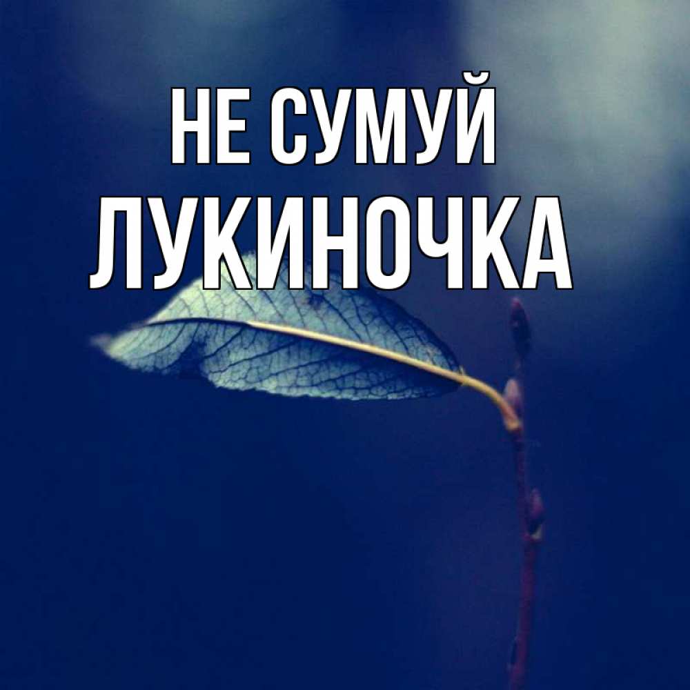 Открытка на каждый день з підписом, Лукиночка Не сумуй растение Прикольна листівка з побажанням онлайн скачати безкоштовно 