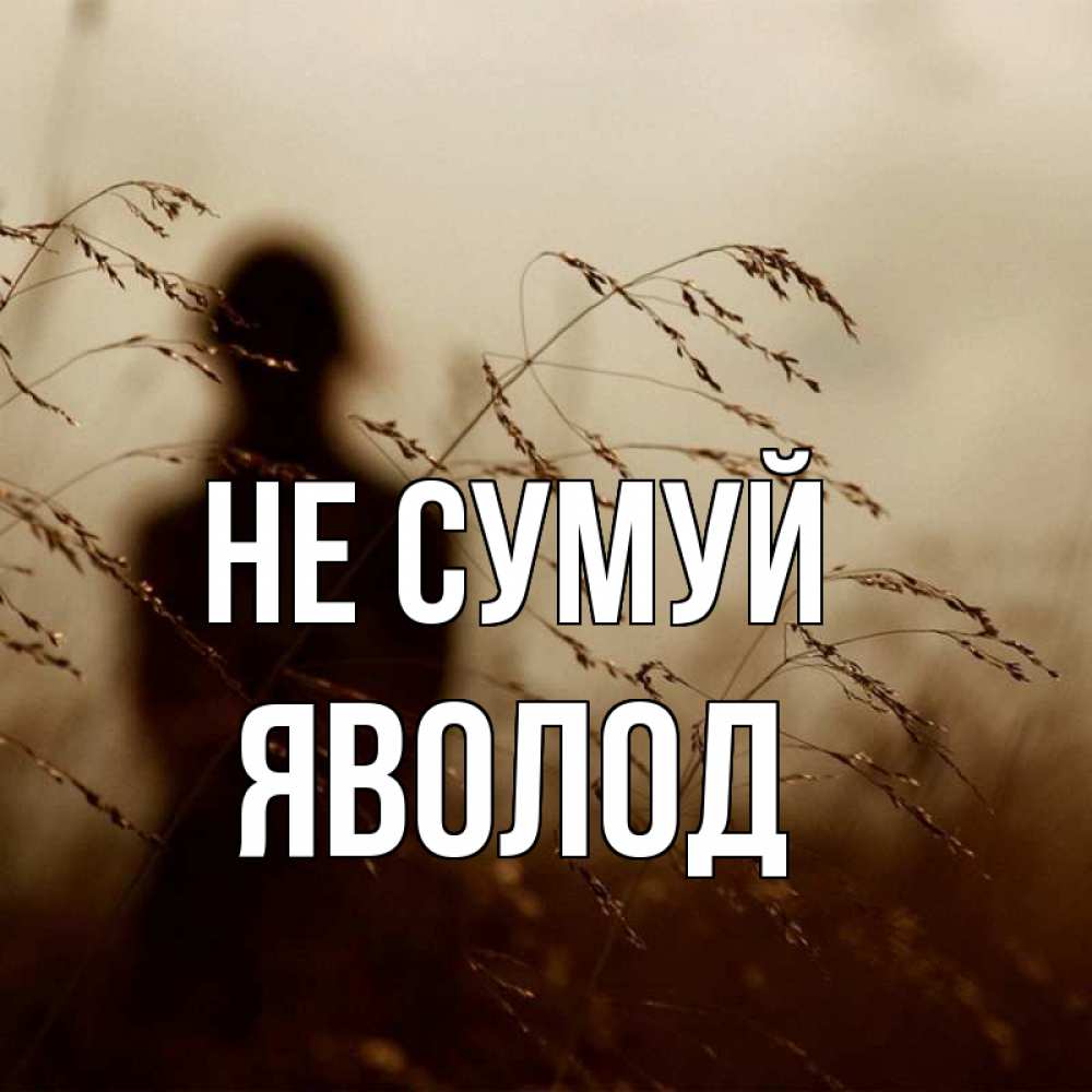 Открытка на каждый день з підписом, Яволод Не сумуй грусть Прикольна листівка з побажанням онлайн скачати безкоштовно 