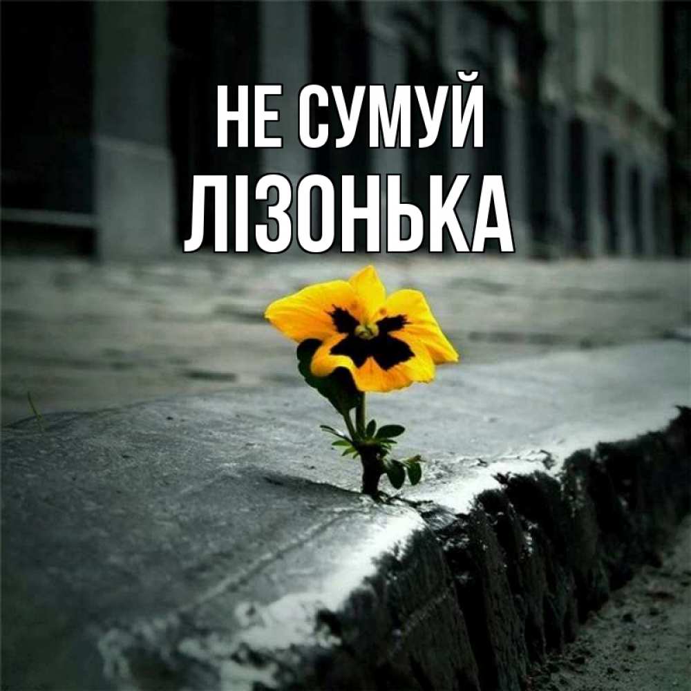 Открытка на каждый день з підписом, Лізонька Не сумуй не сдавайся Прикольна листівка з побажанням онлайн скачати безкоштовно 
