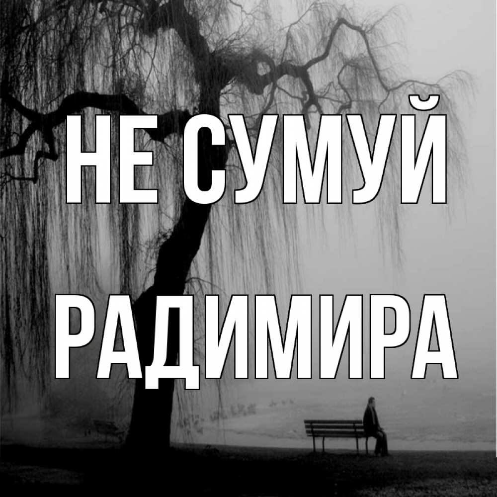 Открытка на каждый день з підписом, Радимира Не сумуй висящие ветки дерева и лавочка под деревом Прикольна листівка з побажанням онлайн скачати безкоштовно 