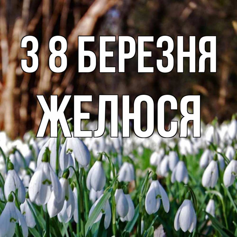 Открытка на каждый день з підписом, Желюся З 8 БЕРЕЗНЯ с подснежниками 1 Прикольна листівка з побажанням онлайн скачати безкоштовно 