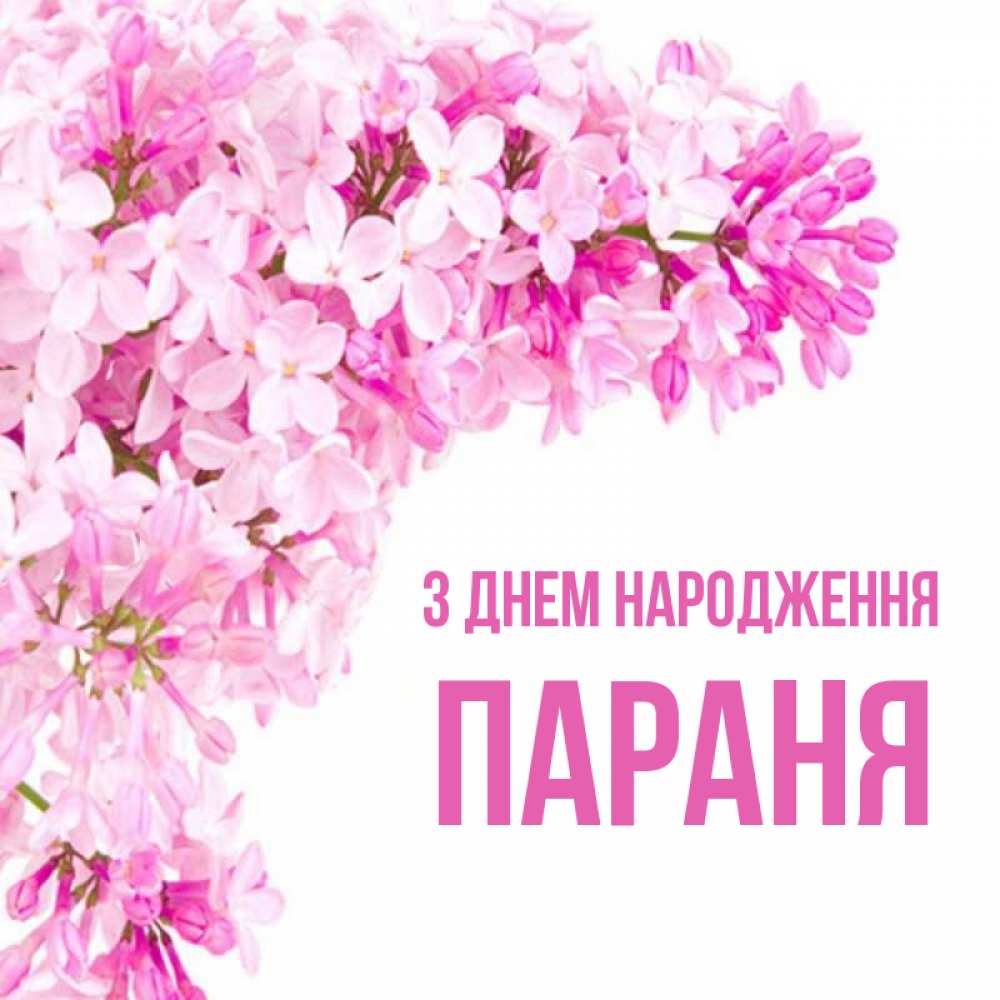 Открытка на каждый день з підписом, Параня З Днем народження Сирень на белом фоне Прикольна листівка з побажанням онлайн скачати безкоштовно 