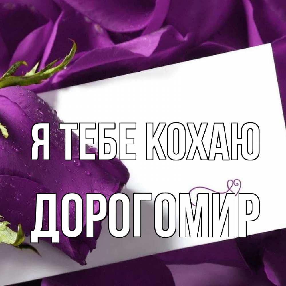 Открытка на каждый день з підписом, Дорогомир Я тебе кохаю роза Прикольна листівка з побажанням онлайн скачати безкоштовно 