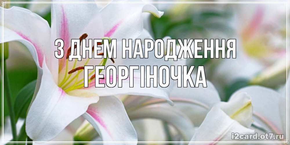 Открытка на каждый день з підписом, Георгіночка З Днем народження открытка с белой лилией Прикольна листівка з побажанням онлайн скачати безкоштовно 