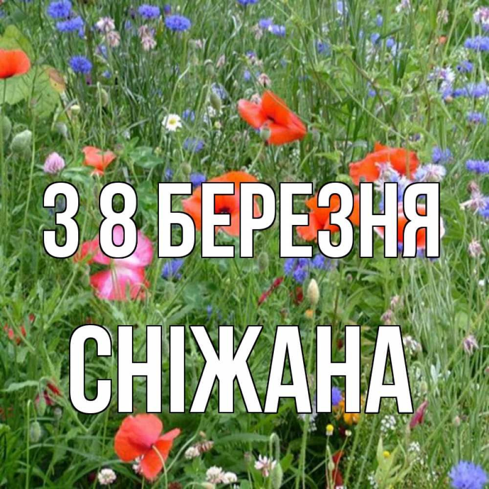Открытка на каждый день з підписом, Сніжана З 8 БЕРЕЗНЯ международный женский день 4 Прикольна листівка з побажанням онлайн скачати безкоштовно 