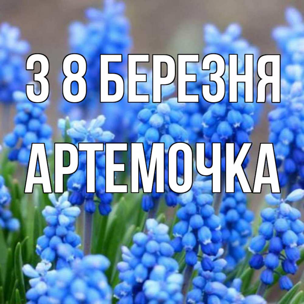 Открытка на каждый день з підписом, Артемочка З 8 БЕРЕЗНЯ Поздравительная открытка для женщин с цветами на праздничную дату Прикольна листівка з побажанням онлайн скачати безкоштовно 
