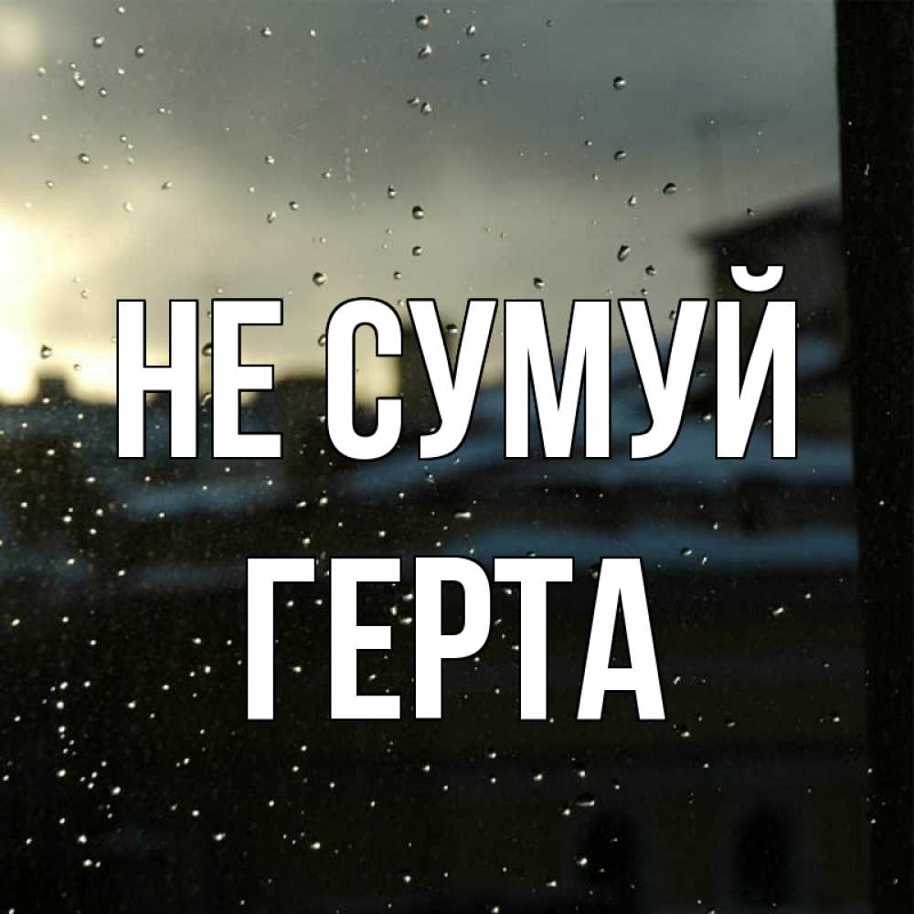Открытка на каждый день з підписом, Герта Не сумуй вид на крыши Прикольна листівка з побажанням онлайн скачати безкоштовно 