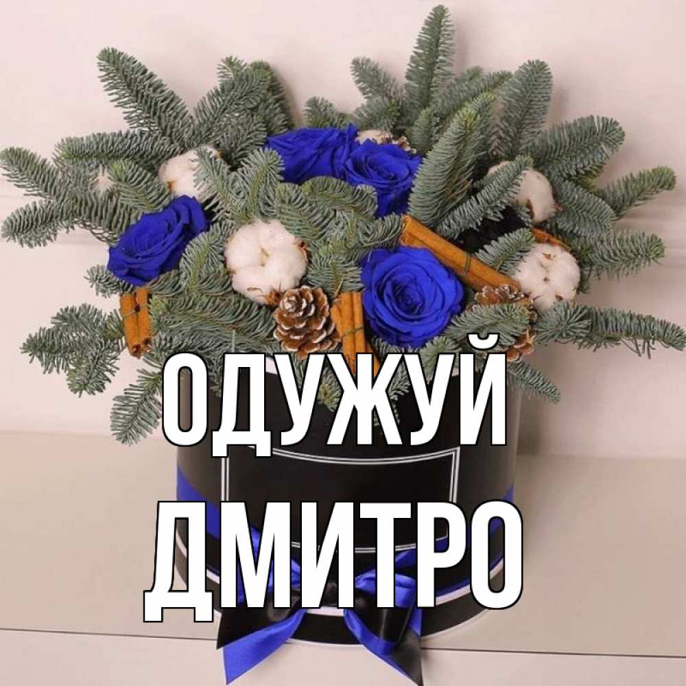 Открытка на каждый день з підписом, Дмитро Одужуй короче кто то загрузил эти шишки Прикольна листівка з побажанням онлайн скачати безкоштовно 