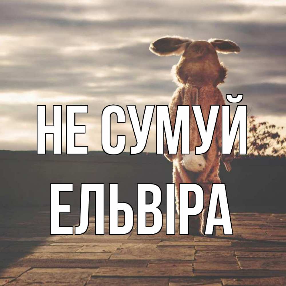 Открытка на каждый день з підписом, Ельвіра Не сумуй со спины Прикольна листівка з побажанням онлайн скачати безкоштовно 
