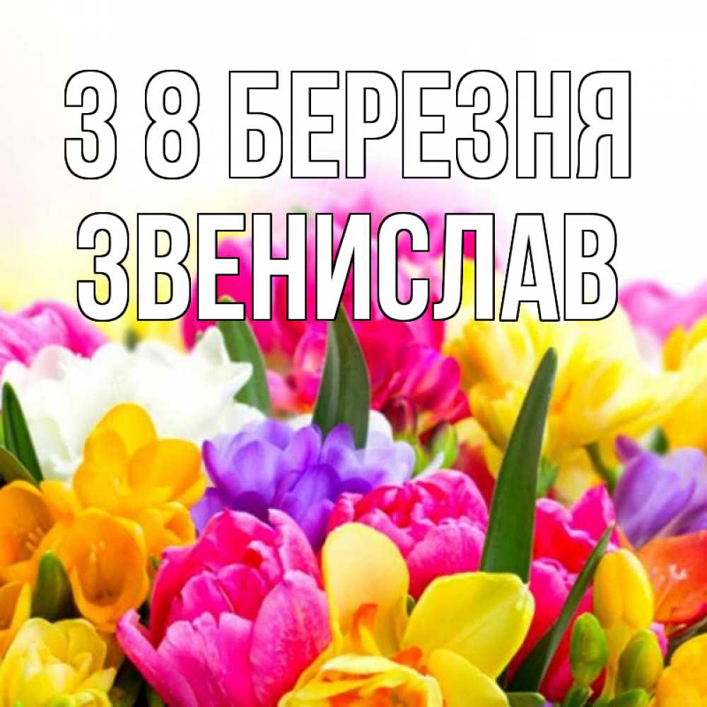 Открытка на каждый день з підписом, Звенислав З 8 БЕРЕЗНЯ тюльпаны Прикольна листівка з побажанням онлайн скачати безкоштовно 