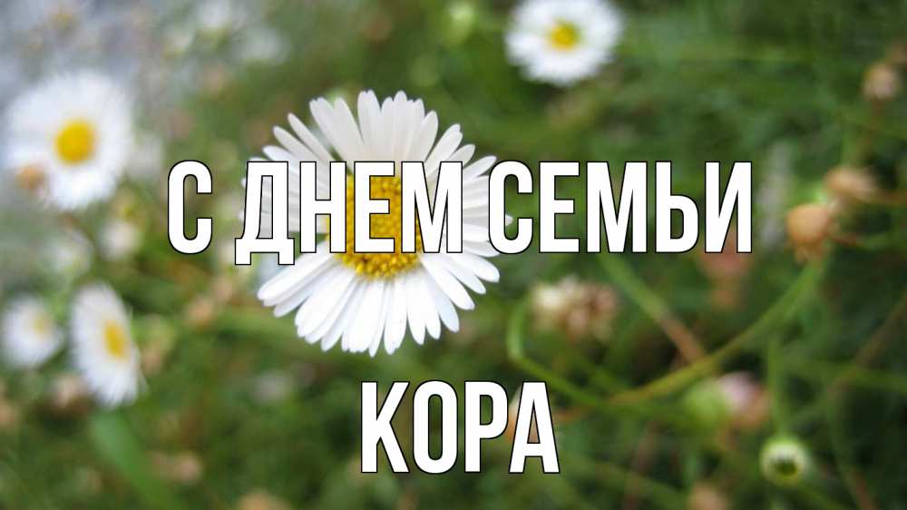 Открытка на каждый день з підписом, Кора С днем семьи с днем семьи Прикольна листівка з побажанням онлайн скачати безкоштовно 