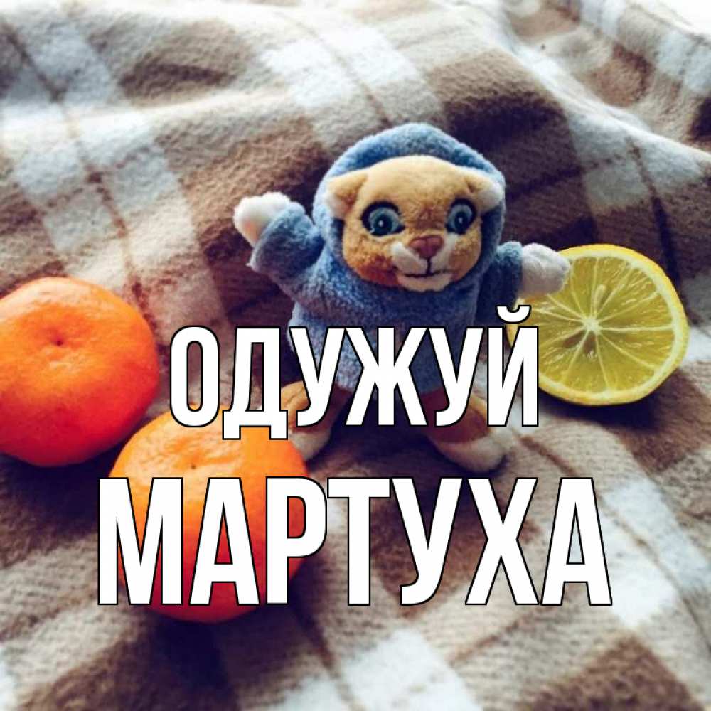 Открытка на каждый день з підписом, Мартуха Одужуй вот тебе апельсинка и лимон Прикольна листівка з побажанням онлайн скачати безкоштовно 