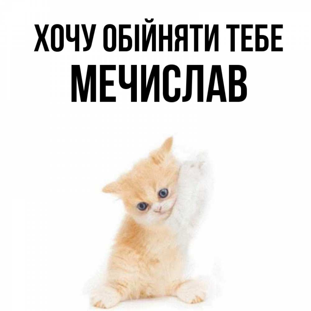 Открытка на каждый день з підписом, Мечислав Хочу обійняти тебе я хочу очень скорее обнимаешек Прикольна листівка з побажанням онлайн скачати безкоштовно 