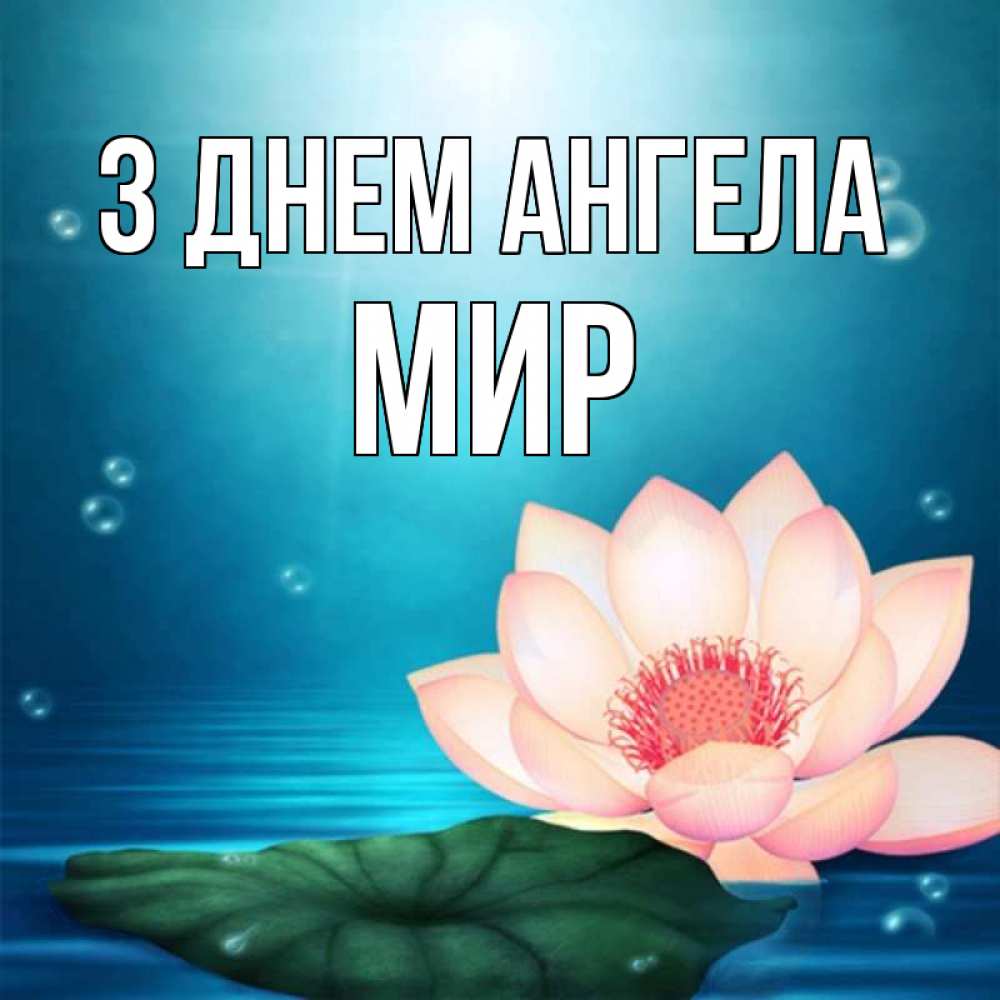 Открытка на каждый день з підписом, Мир З Днем ангела кувшинка Прикольна листівка з побажанням онлайн скачати безкоштовно 