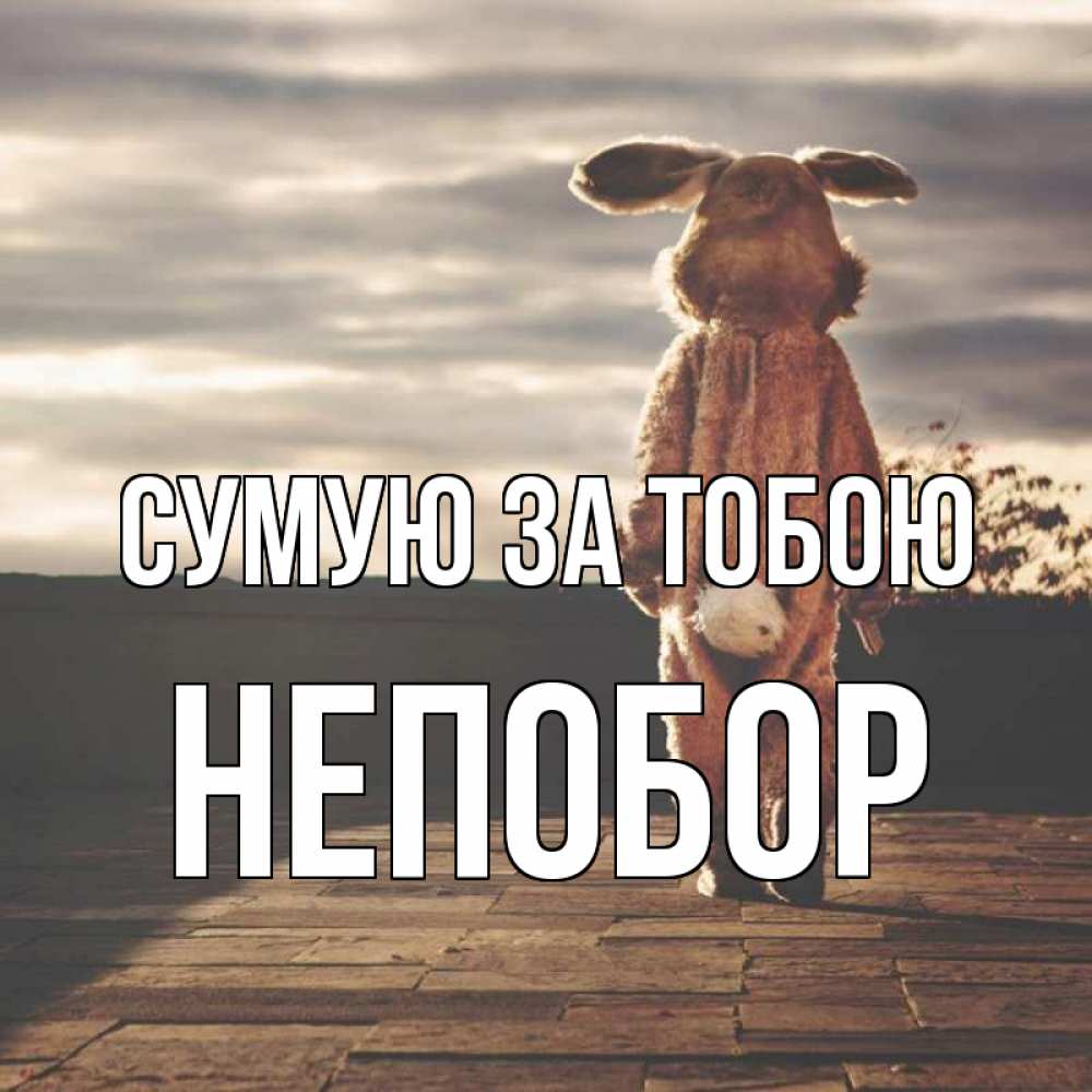 Открытка на каждый день з підписом, Непобор Сумую за тобою даже в костюме зайца Прикольна листівка з побажанням онлайн скачати безкоштовно 