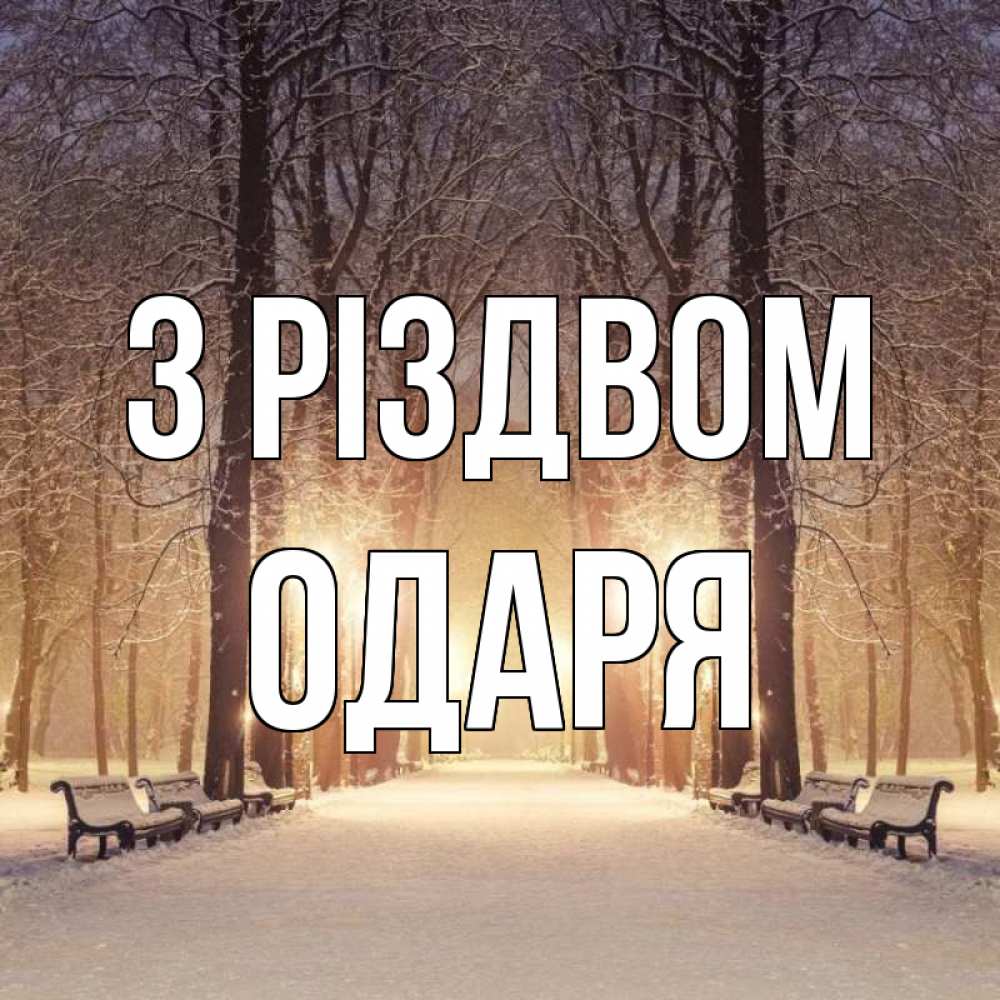 Открытка на каждый день з підписом, Одаря З Різдвом зима, парк, фонарь, лес Прикольна листівка з побажанням онлайн скачати безкоштовно 