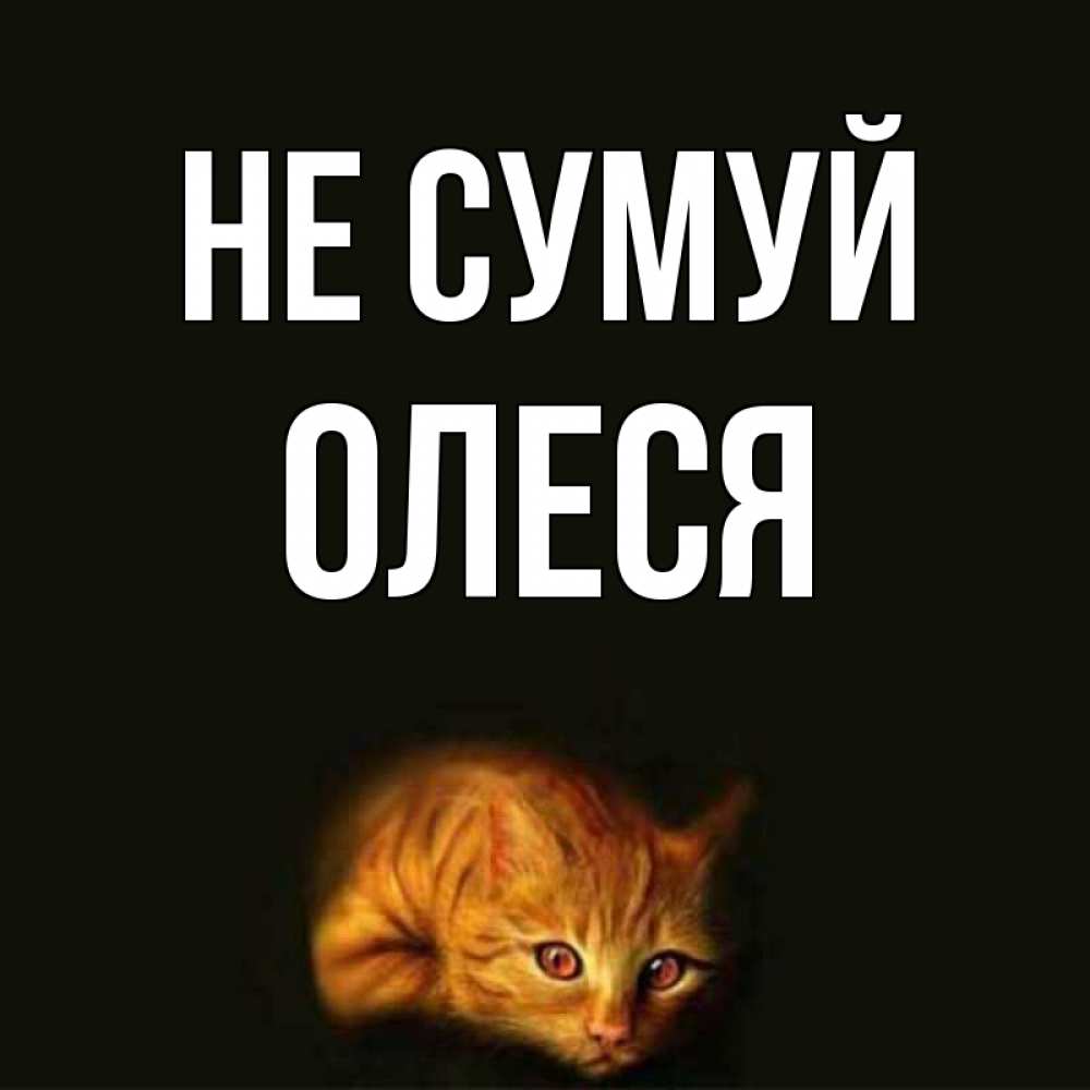 Открытка на каждый день з підписом, Олеся Не сумуй лежащий кот в темноте Прикольна листівка з побажанням онлайн скачати безкоштовно 