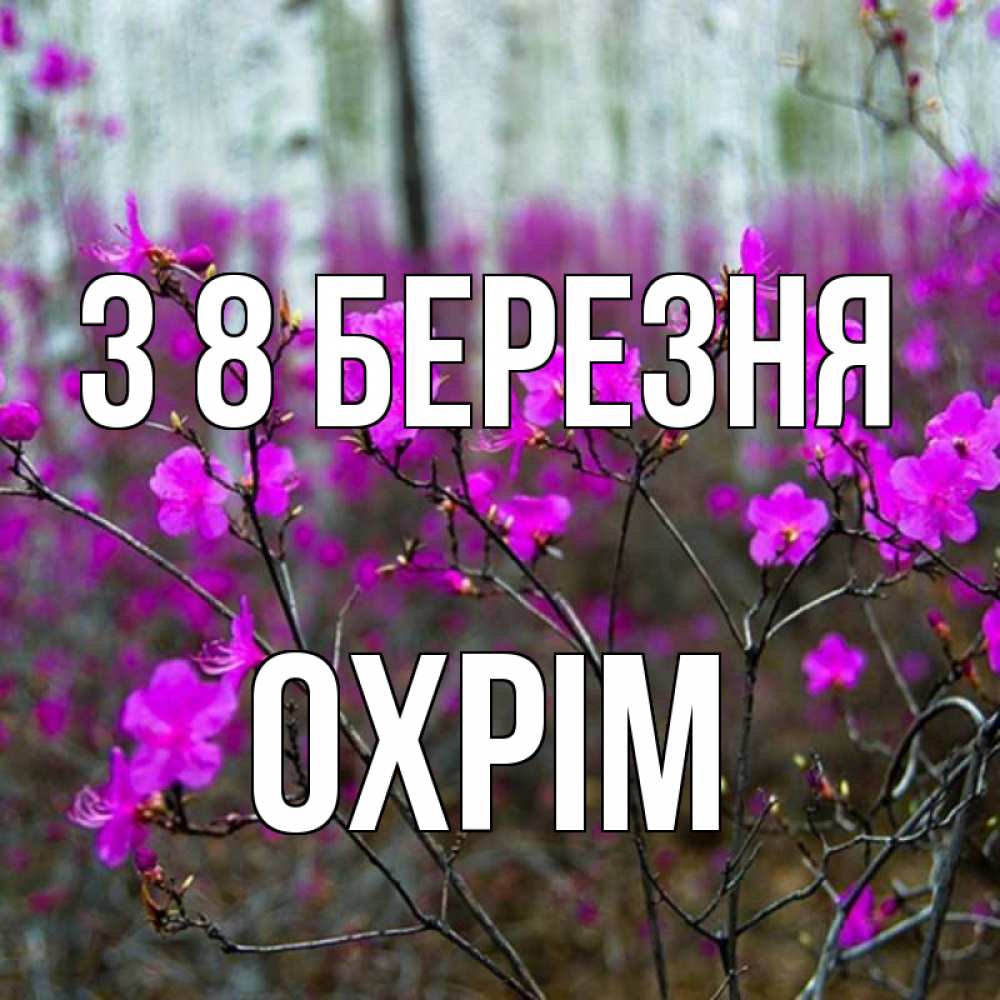 Открытка на каждый день з підписом, Охрім З 8 БЕРЕЗНЯ дикие цветы Прикольна листівка з побажанням онлайн скачати безкоштовно 